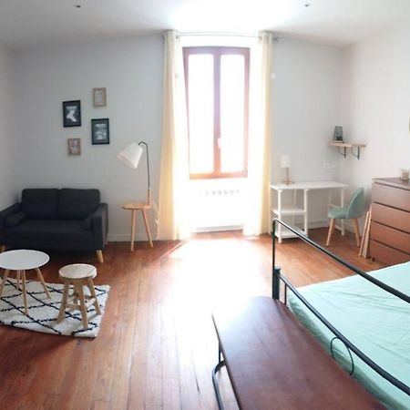 Le Beausejour - Cosy T2 - Business Ou We - Gare Apartment Bellegarde-sur-Valserine Bagian luar foto
